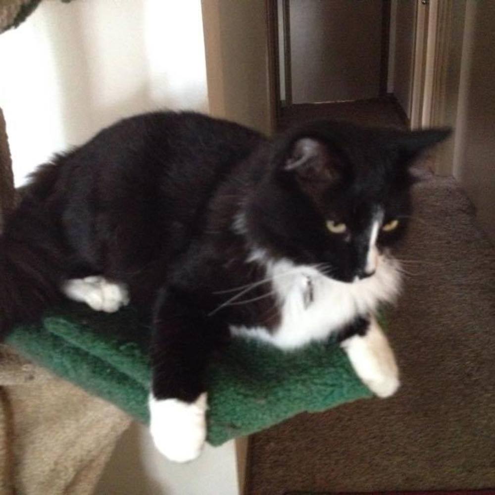 Meet your Posher, Margot